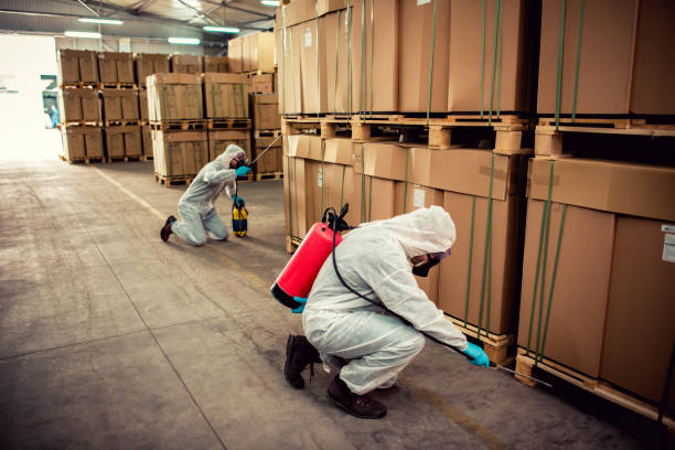 Best Bed Bug Extermination  in Tracy, MN