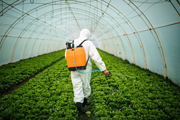 Best Best Pest Control Near Me  in Tracy, MN