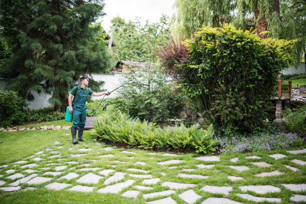 Best Ant Control Services  in Tracy, MN