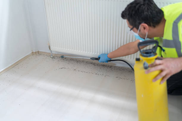 Best Pest Control Near Me  in Tracy, MN